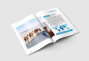 企業(yè)畫冊 公司簡介 產(chǎn)品畫冊 科技畫冊 商務畫冊
